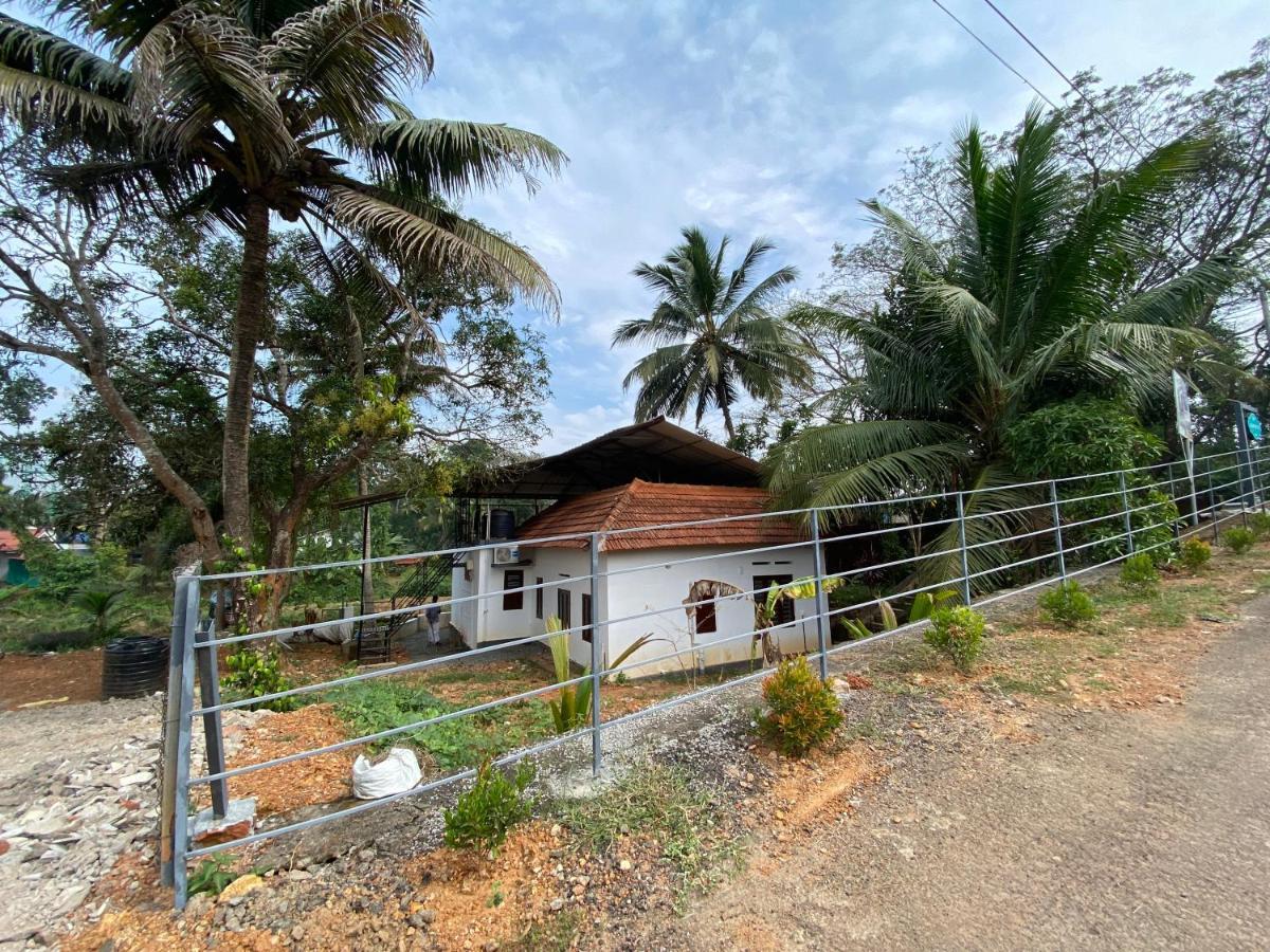Alappattu Meadows
